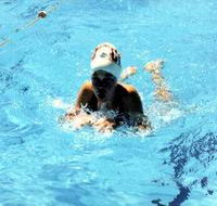 Mount Gambier Aquatic Centre - Accommodation Search