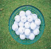 Mount Gambier Golf Club - Accommodation Search