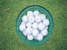 Mount Gambier Golf Club - Accommodation Search 0