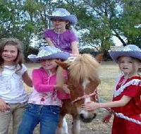 Amberainbow Pony Rides - Accommodation Search