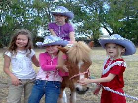 Amberainbow Pony Rides - Accommodation Search 0