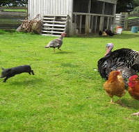 Echo Farm - Accommodation Search