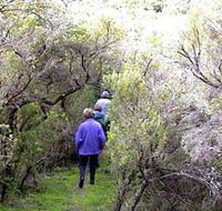 Jack And Hilda McArthur Walk - Accommodation Search