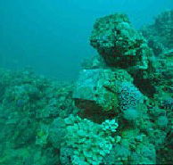 Adelaide's Underwater Heritage Trail - Accommodation Search