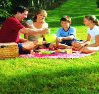 Bruny Island Berry Farm - Accommodation Search