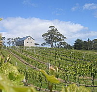 Bruny Island Premium Wines Bar and Grill - Accommodation Search