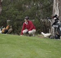 Tasmania Golf Club - The - Accommodation Search