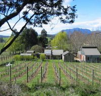 Wilmot Hills Vineyard - Accommodation Search