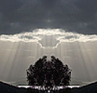 aart. Gallery of Fine Art - Accommodation Search
