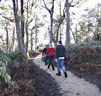 Bridport Walking Track - Accommodation Search