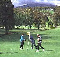 Deloraine Golf Course - Accommodation Search
