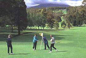 Deloraine Golf Course - Accommodation Search 0