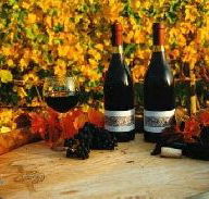 Craigow Vineyard - Accommodation Search