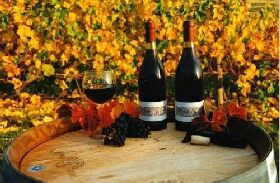 Craigow Vineyard - Accommodation Search 0