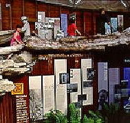 West Coast Visitor Information and Booking Centre - Accommodation Search