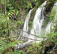 Hogarth Falls - Accommodation Search