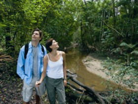 Mooloolah River National Park, Jowarra Section - Accommodation Search 0