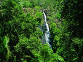 Montville QLD Accommodation Search