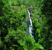 Kondalilla National Park - Accommodation Search