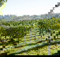 Surveyor's Hill Vineyards - Accommodation Search