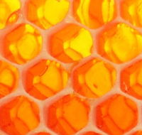 The Honey Pot - Accommodation Search
