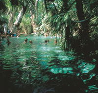 Mataranka Thermal Pool - Accommodation Search