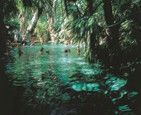 Mataranka Thermal Pool - Accommodation Search 0