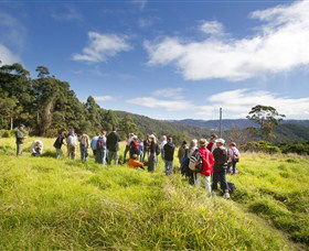 Springbrook QLD Accommodation Search