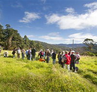 Apple Tree Park - Accommodation Search