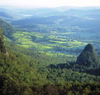 Springbrook Plateau Springbrook National Park - Accommodation Search