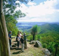 Gold Coast Hinterland Great Walk - Accommodation Search