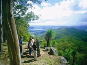 Gold Coast Hinterland Great Walk - Accommodation Search 0