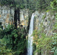 Gondwana Rainforests of Australia - Accommodation Search