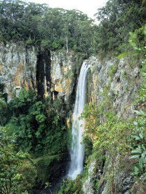 Gondwana Rainforests Of Australia - Accommodation Search 0