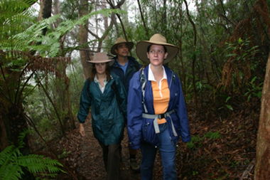 Mount Cougal, Springbrook National Park - Accommodation Search 0