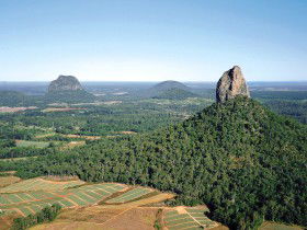 Mt Tibrogargan - Accommodation Search 0