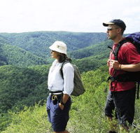 Sunshine Coast Hinterland Great Walk - Accommodation Search