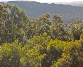 Wootha QLD Accommodation Search