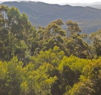 Conondale National Park - Accommodation Search