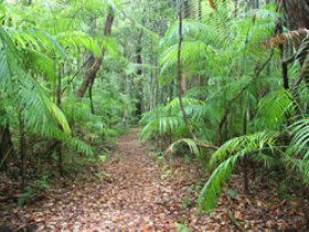 Mapleton QLD Accommodation Search