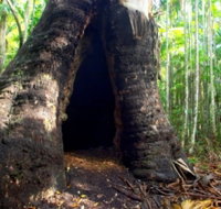 Tewantin National Park - Accommodation Search