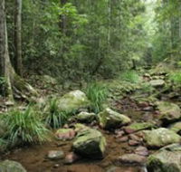 Amamoor State Forest - Accommodation Search