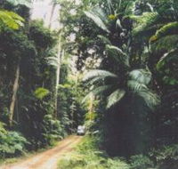 Conondale Great Walk - Accommodation Search