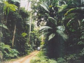 Conondale Great Walk - Accommodation Search 0