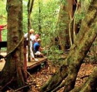Mary Cairncross Scenic Reserve - Accommodation Search