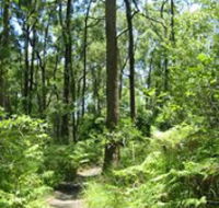 Mapleton Falls National Park - Accommodation Search