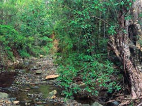 Mudlo National Park - Accommodation Search 0