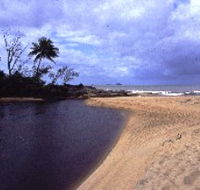 Russell River National Park - Accommodation Search
