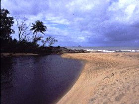 Russell River National Park - Accommodation Search 0