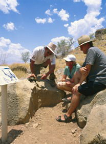 Happy Valley QLD Accommodation Search